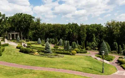 The Benefits of Moving into the Country – Grants Removals