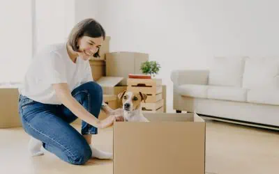 Make Moving Easy and Stress-Free for Your Pets – Grants Removals